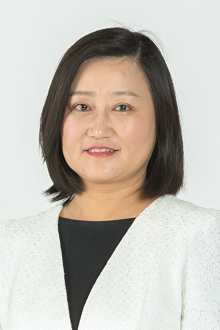 Prof Hui Su