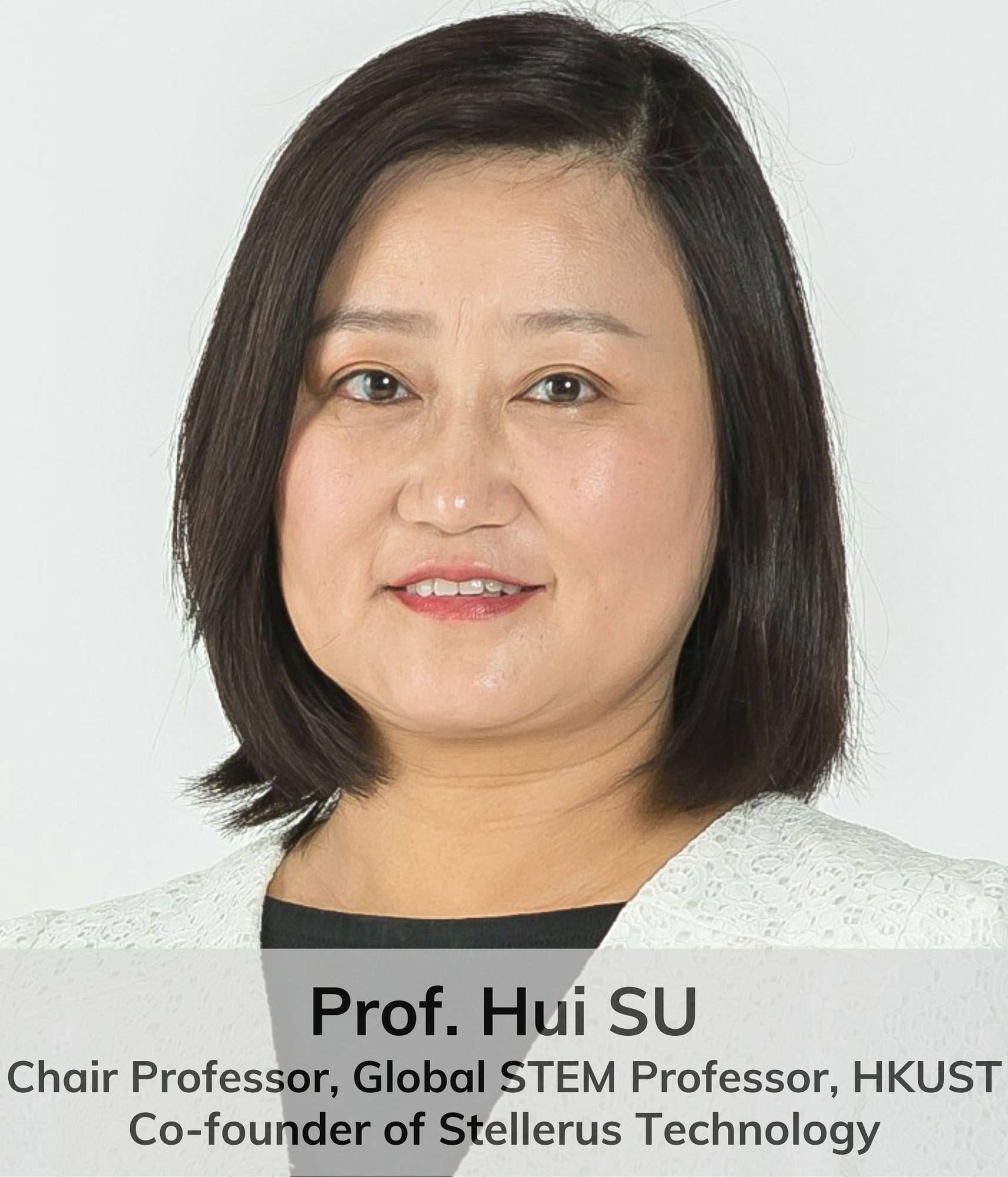 Prof. Hui Su